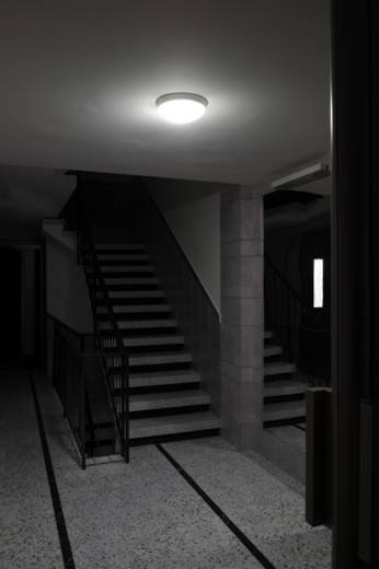 Stairway, 2011
