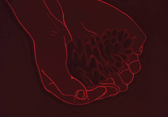 Hands with a pinefruit
