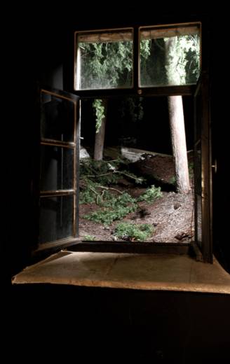 Woods